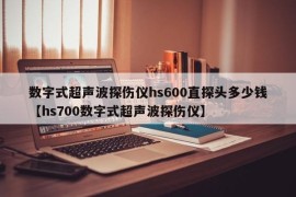 数字式超声波探伤仪hs600直探头多少钱【hs700数字式超声波探伤仪】