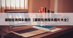 漏磁检测探头图片【漏磁检测探头图片大全】