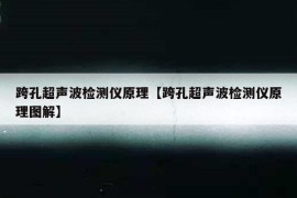 跨孔超声波检测仪原理【跨孔超声波检测仪原理图解】