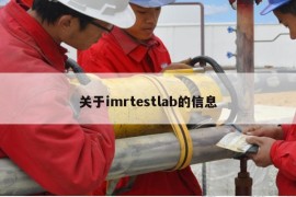 关于imrtestlab的信息