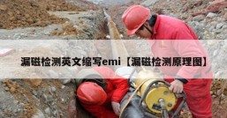 漏磁检测英文缩写emi【漏磁检测原理图】