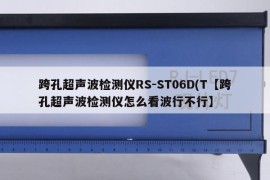 跨孔超声波检测仪RS-ST06D(T【跨孔超声波检测仪怎么看波行不行】