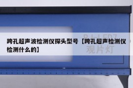 跨孔超声波检测仪探头型号【跨孔超声检测仪检测什么的】