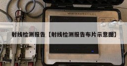 射线检测报告【射线检测报告布片示意图】