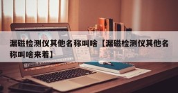 漏磁检测仪其他名称叫啥【漏磁检测仪其他名称叫啥来着】