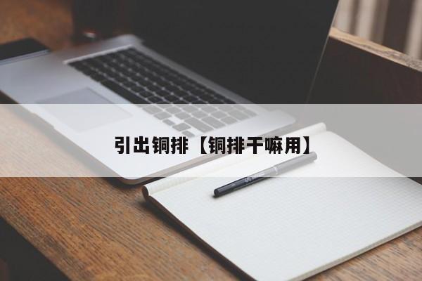 引出铜排【铜排干嘛用】