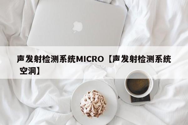 声发射检测系统MICRO【声发射检测系统 空洞】