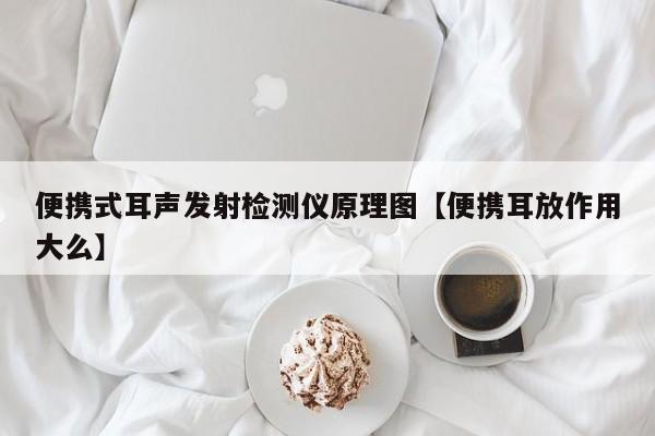 便携式耳声发射检测仪原理图【便携耳放作用大么】