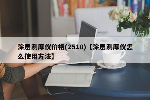 涂层测厚仪价格(2510)【涂层测厚仪怎么使用方法】