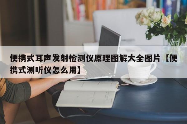 便携式耳声发射检测仪原理图解大全图片【便携式测听仪怎么用】