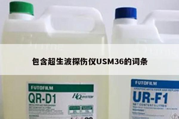 包含超生波探伤仪USM36的词条