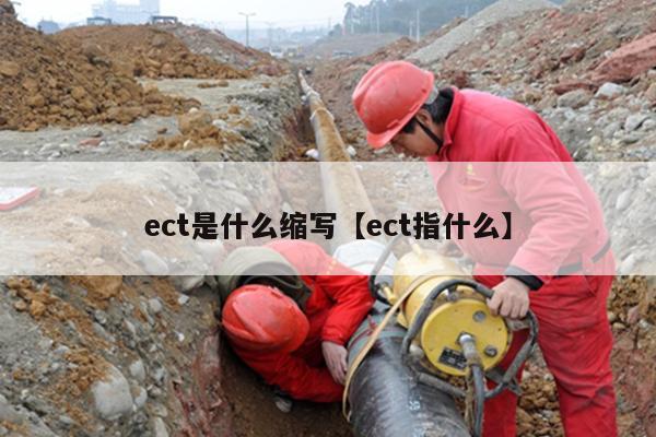 ect是什么缩写【ect指什么】