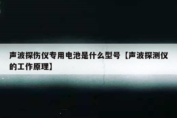 声波探伤仪专用电池是什么型号【声波探测仪的工作原理】