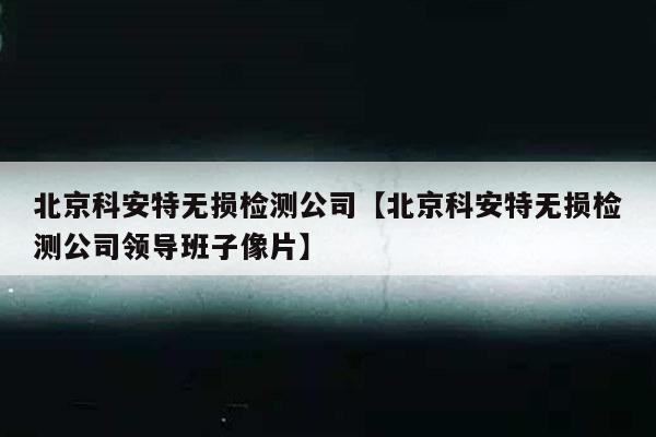 北京科安特无损检测公司【北京科安特无损检测公司领导班子像片】